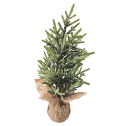 Christmas Central 16.5" Frosted Ice Pine Tree In Natural Jute Base Christmas Decoration