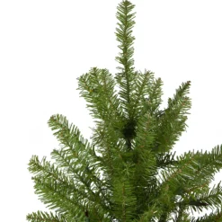Christmas Central 10' Rockwood Pine Artificial Christmas Tree Unlit 5 Christmas Central 10' Rockwood Pine Artificial Christmas Tree Unlit -Christmas Central Shop 6052746 ALT2