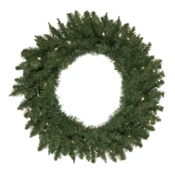 Christmas Central Pre-Lit Winona Fir Artificial Christmas Wreath 24-Inch Warm White LED Lights