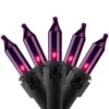 Christmas Central 35-Count Purple Mini Christmas Lights 7ft Black Wire