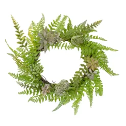 Christmas Central Succulents And Foliage Artificial Spring Twig Wreath Green - 22-Inch