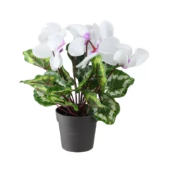 Christmas Central 12" Potted White Hedychium Coronarium Artificial Floral Arrangement